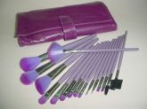 KIT 16 PINCÉIS PROFISSIONAIS COR ROXA